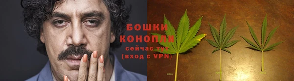 гашик Белокуриха